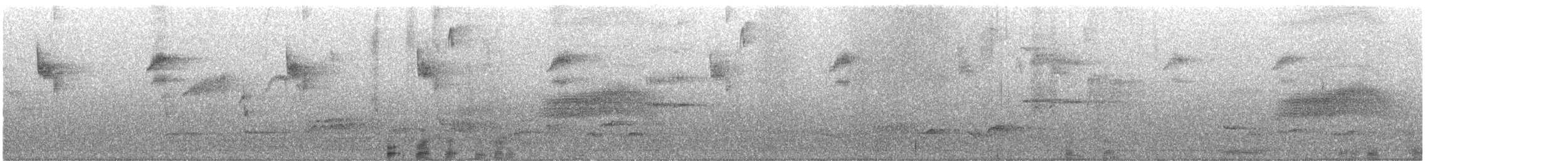 Papamoscas Gris (grupo striata) - ML619544704