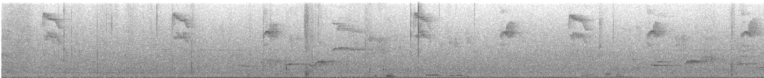 gråfluesnapper (striata gr.) - ML619544749