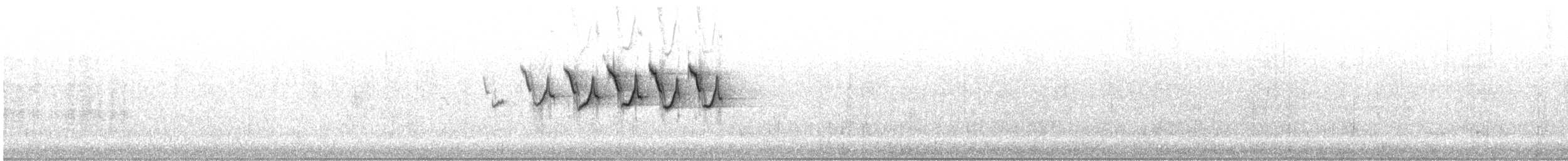 キヅタアメリカムシクイ（coronata） - ML619545075