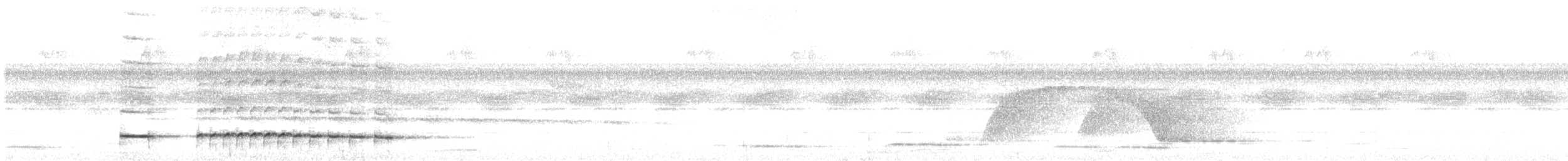 svartstrupemaurrikse (analis gr.) - ML619546356