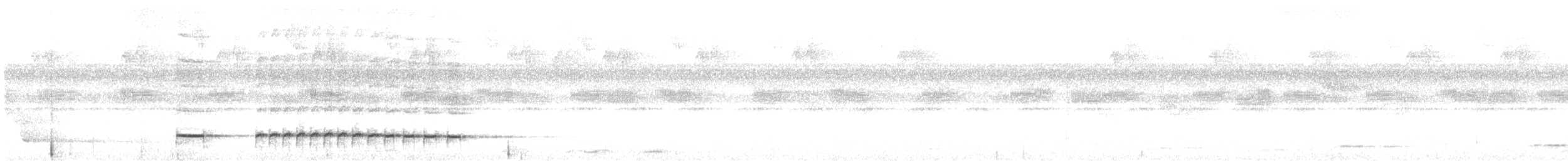 Graubrust-Ameisendrossel [analis-Gruppe] - ML619546357