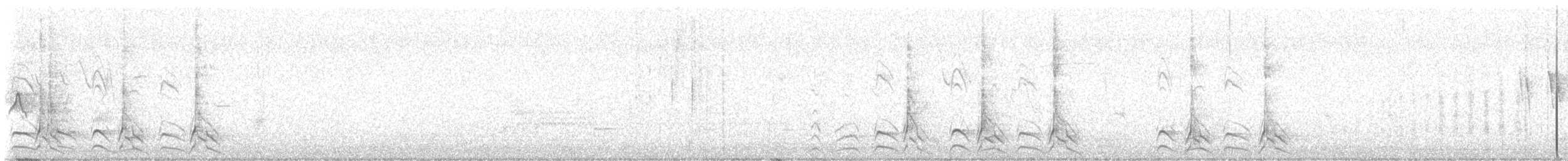 Paruline à calotte noire - ML619549147