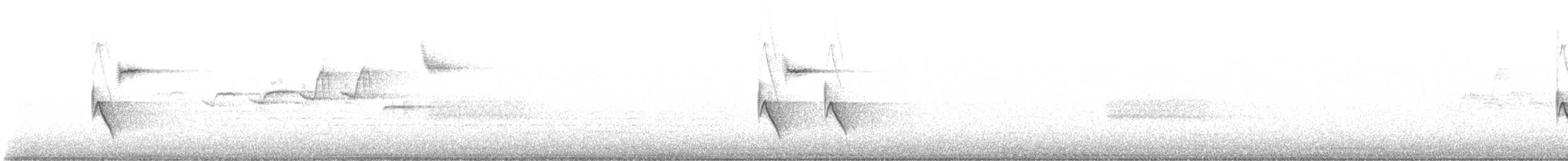 Fleckengrundammer [oregonus-Gruppe] - ML619549168