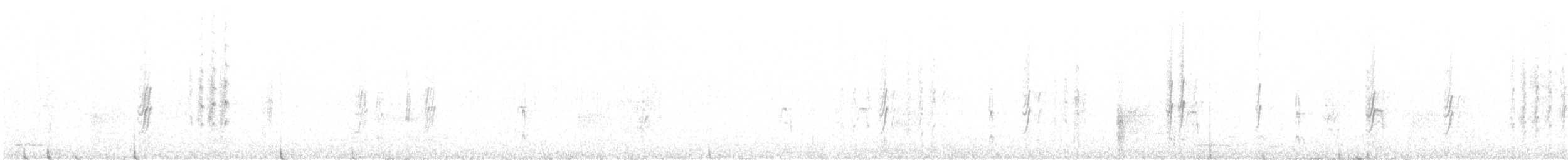 låvesvale (erythrogaster) - ML619550678