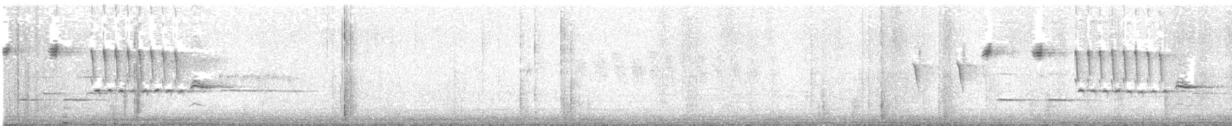 גיבתונית רוננת - ML619550854