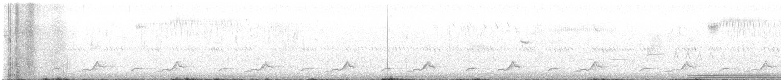 Schwarzkehl-Nachtschwalbe - ML619552097