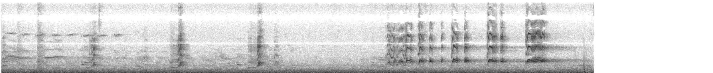 Australasian Swamphen - ML619553417