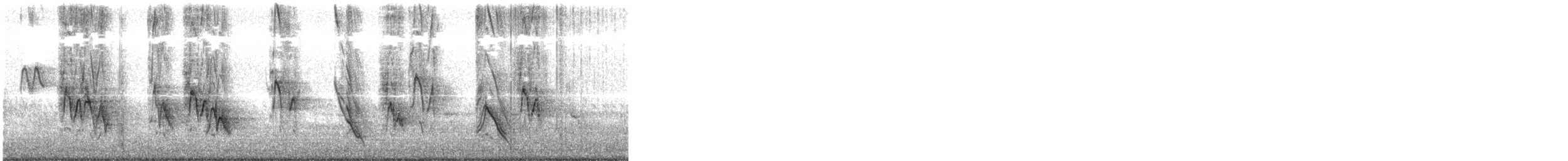 House Sparrow - ML619553480