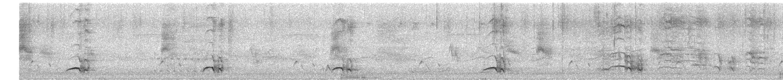 Gray-crowned Babbler - ML619554131