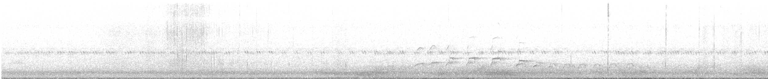 káně tmavá (ssp. anthracinus/utilensis) - ML619554790