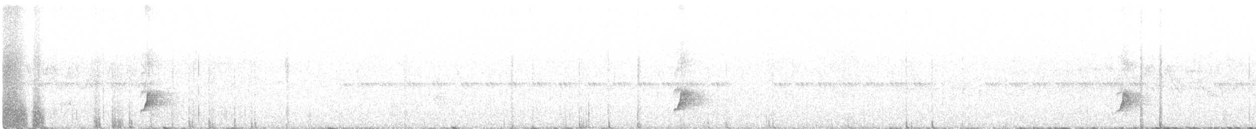 Brown-crested Flycatcher - ML619555124
