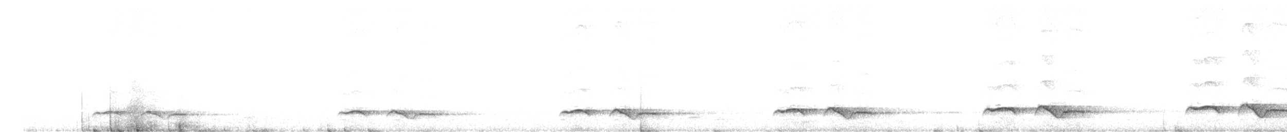 Зозуля білогорла - ML619555729
