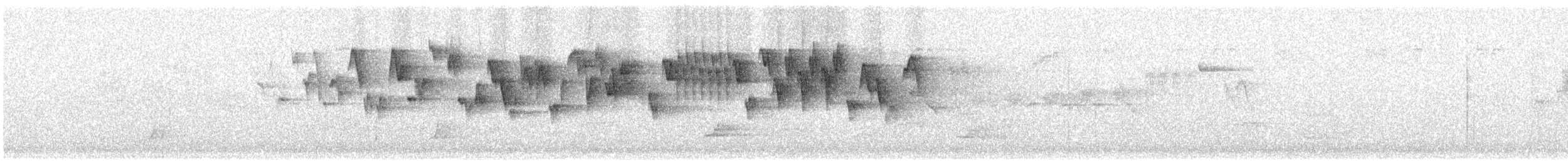 Troglodyte de Baird - ML619556385