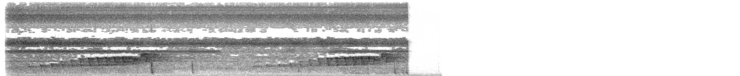 Braunhals-Nachtschwalbe - ML619556514