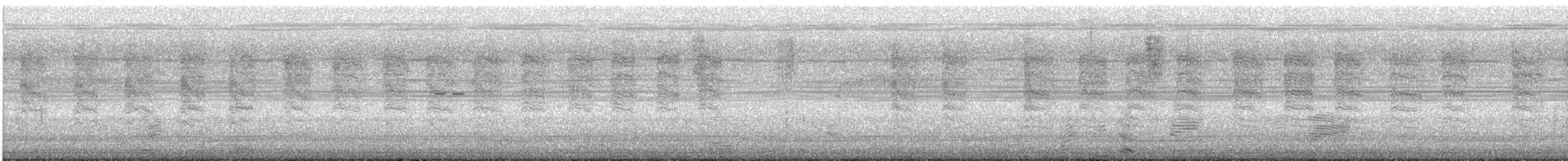 Віреон короткокрилий (підвид pusillus) - ML619556584