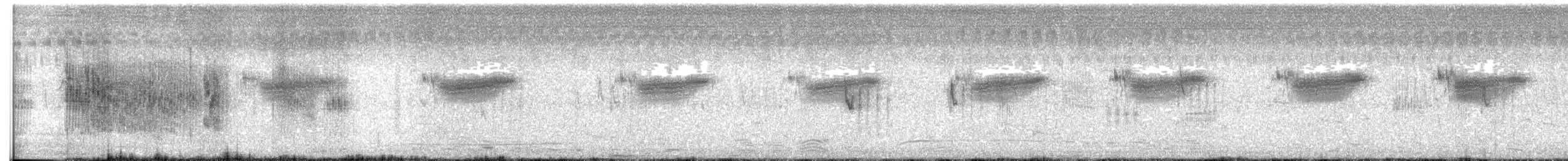 Streak-throated Swallow - ML619558268