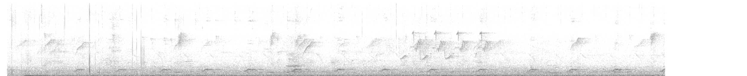 白腹秧雞 - ML619558474