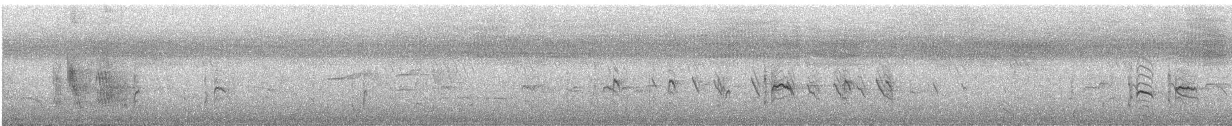 斑文鳥 - ML619558826