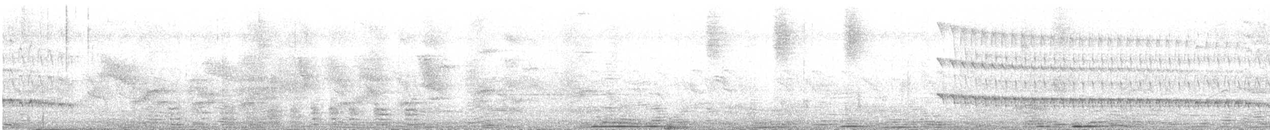 Alción de Esmirna - ML619559090