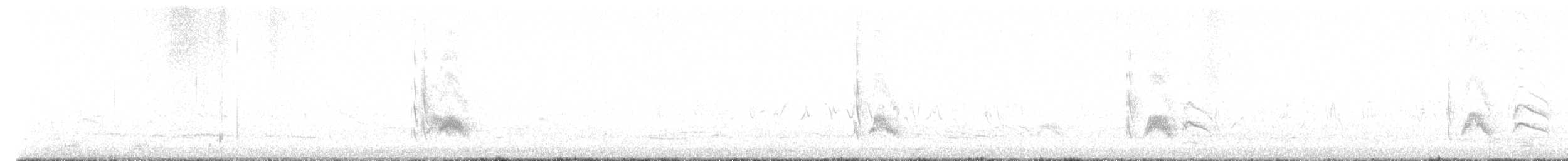 Серогрудый тиранн - ML619559162