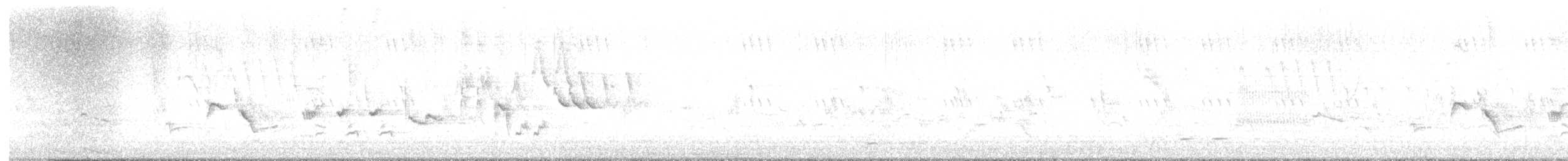 Oriole des vergers - ML619559347