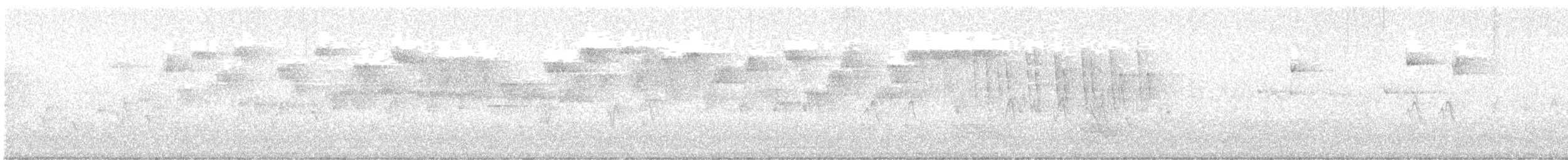 Troglodyte de Baird - ML619559442