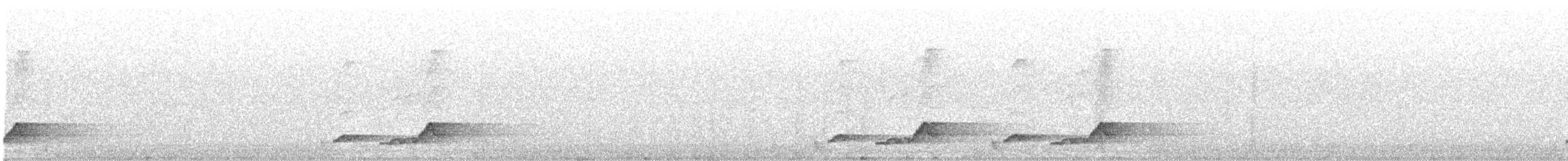 Schwarzkehl-Nachtschwalbe - ML619560009