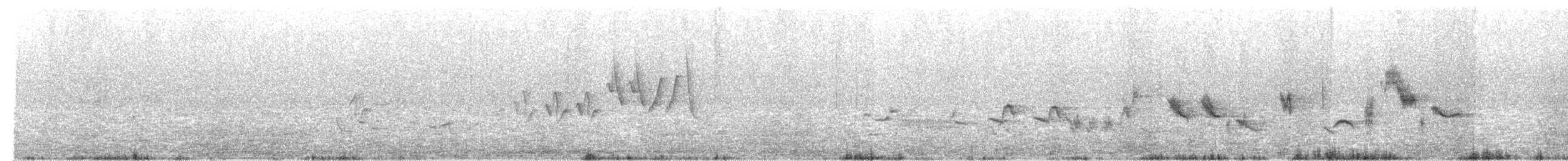 Oriole des vergers - ML619560144