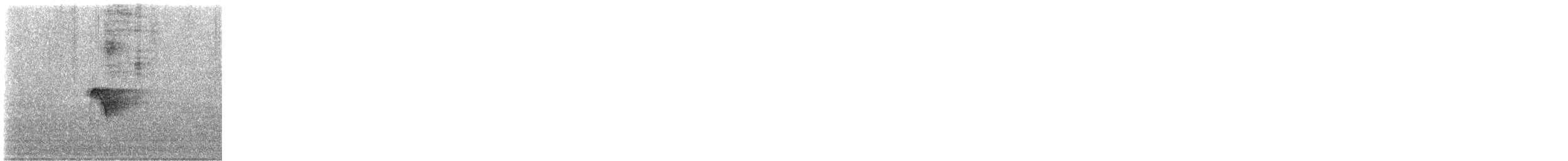 Yellow-bellied Flycatcher - ML619560511