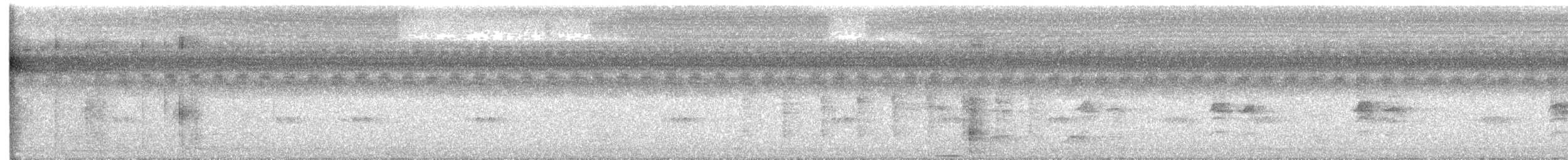 Batılı Kara Başlı Pitta  (sordida/palawanensis) - ML619560631