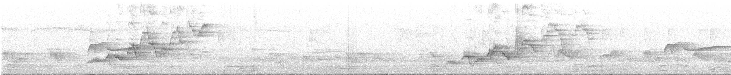 Дрізд-короткодзьоб Cвенсона - ML619560752