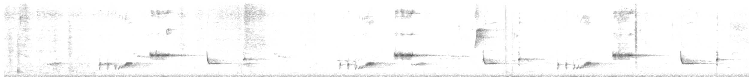 Psophode à menton noir - ML619561035