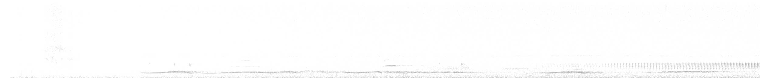 Дрімлюга звичайний - ML619561303