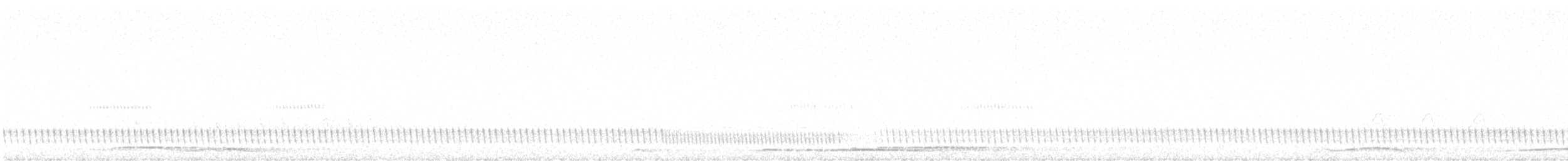 Сова сіра - ML619561305