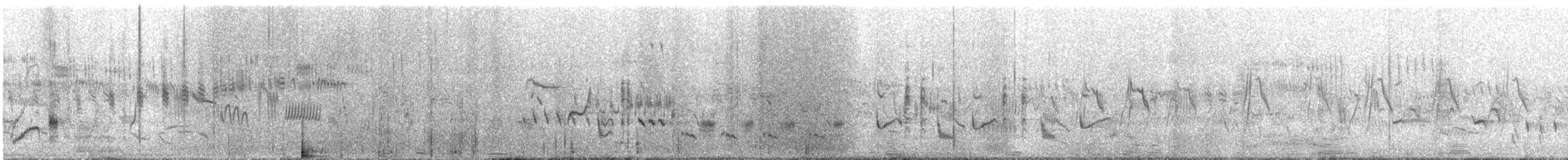 Eastern Orphean Warbler - ML619561623