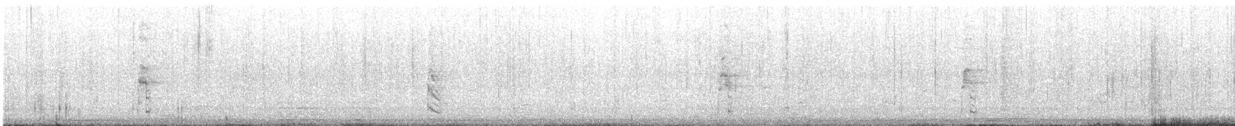 白眉秧雞 - ML619561740