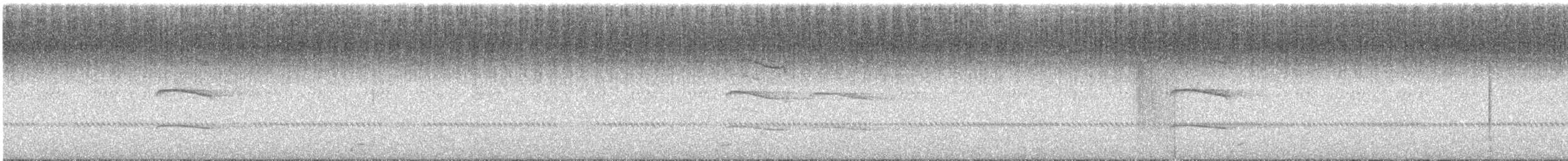 kalous ušatý - ML619561954