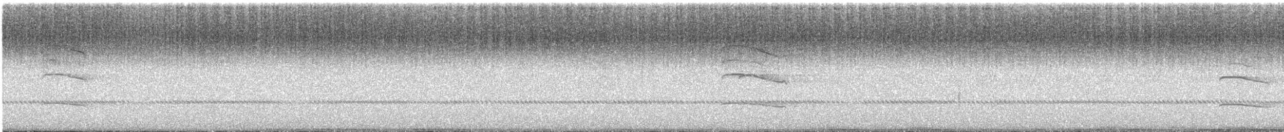 Сова вухата - ML619561955