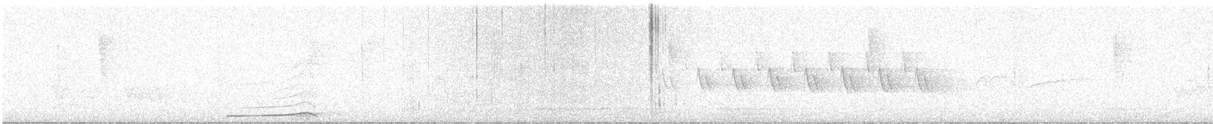 Barred Owl - ML619562612