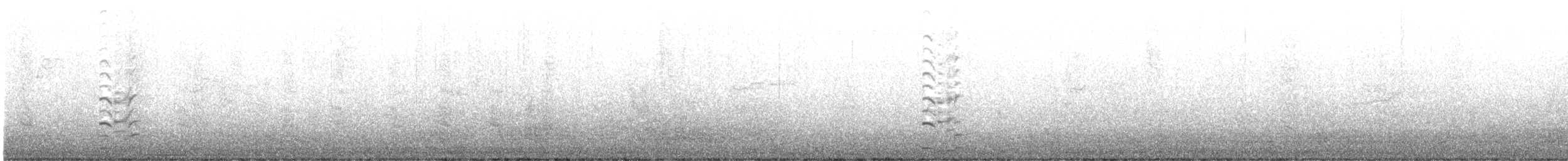 Cisne Negro - ML619562804