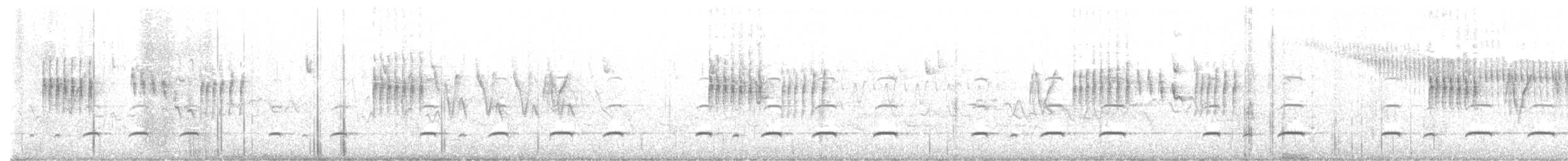 Lophophore de Lhuys - ML619564235