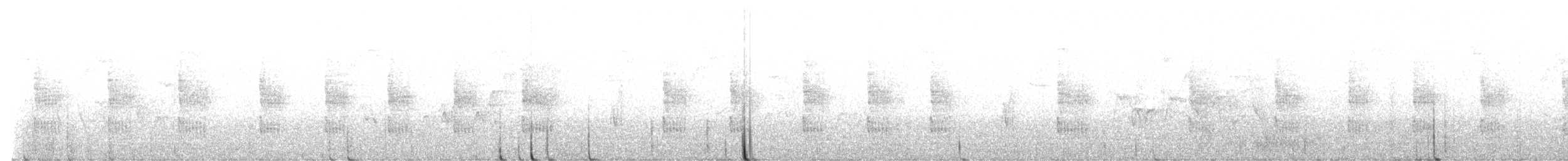 Оливковая широкохвостка (intricatus/oblitus) - ML619564341