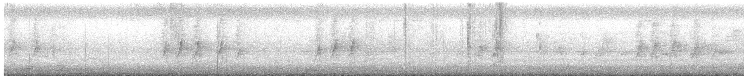 黑領椋鳥 - ML619564494