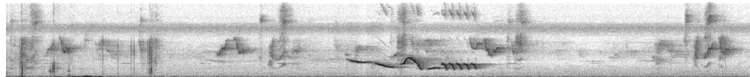 Kara Gerdanlı Çıtkuşu - ML619564528