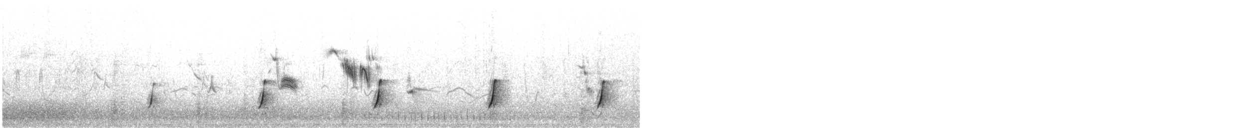 斑胸秧雞 - ML619565160