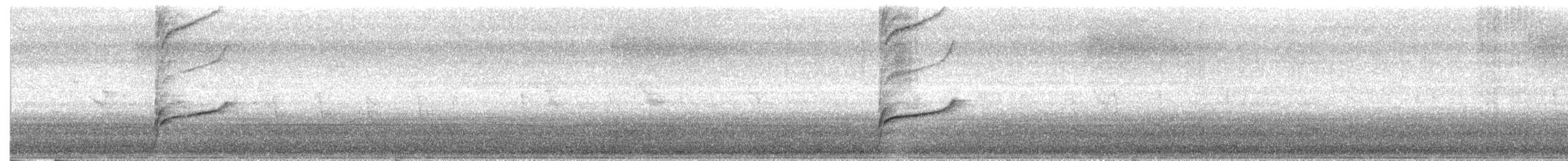 strakapoud velký [skupina major] - ML619566234