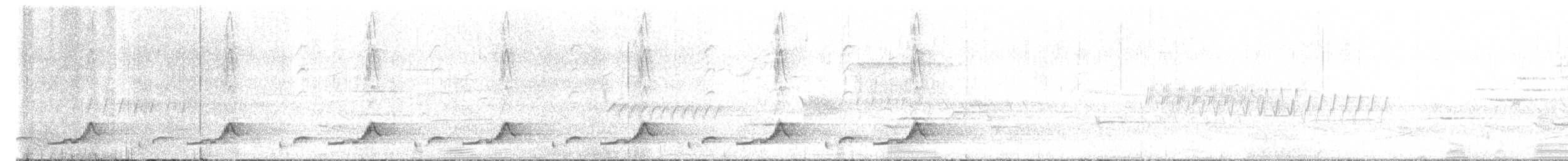 Schwarzkehl-Nachtschwalbe - ML619566918