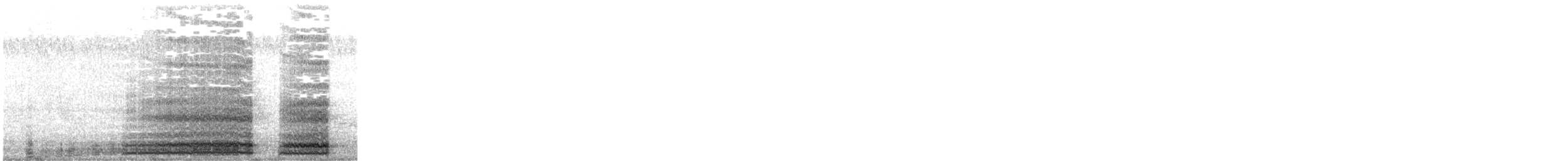 Банкивский петух (Одомашенного вида) - ML619567231