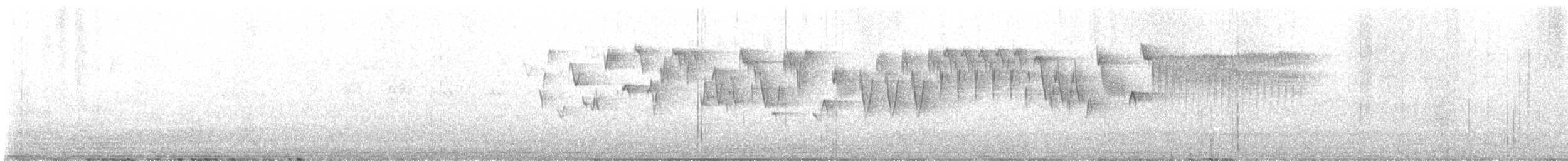 Troglodyte de Baird - ML619568162