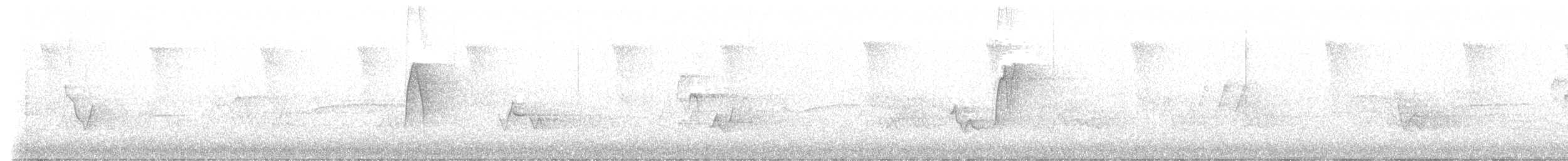 Acadian Flycatcher - ML619568178